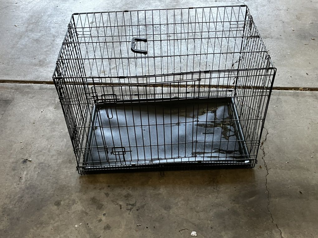 Dog Kennel