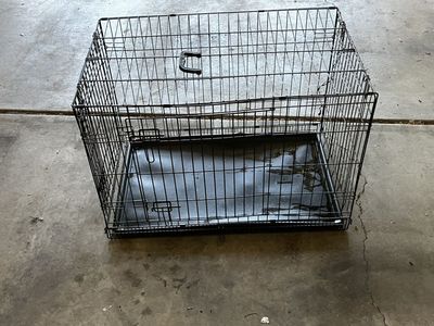Dog Kennel