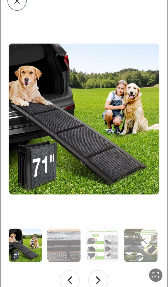Portable dog ramp