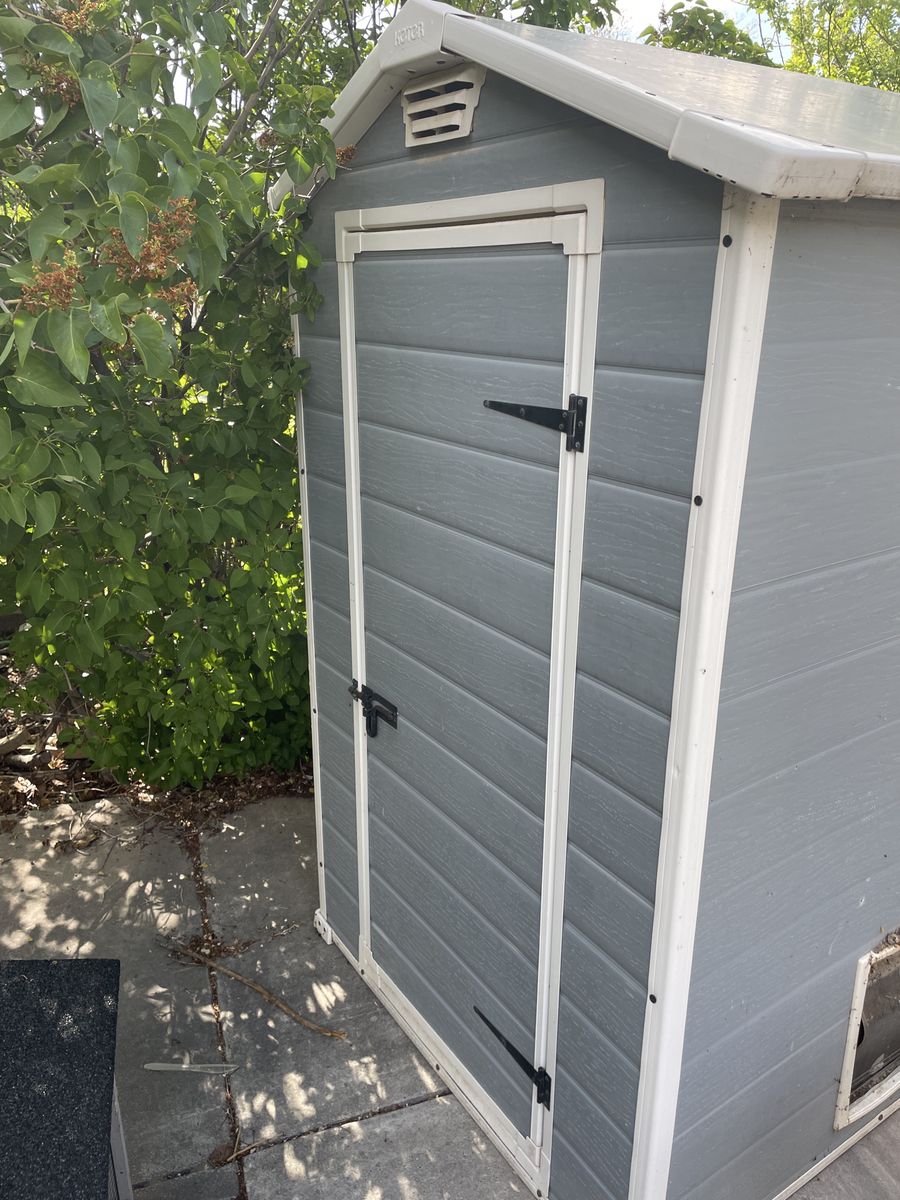 Chicken coop or shed