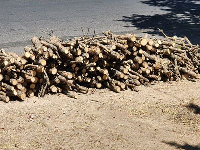 Firewood - Pine