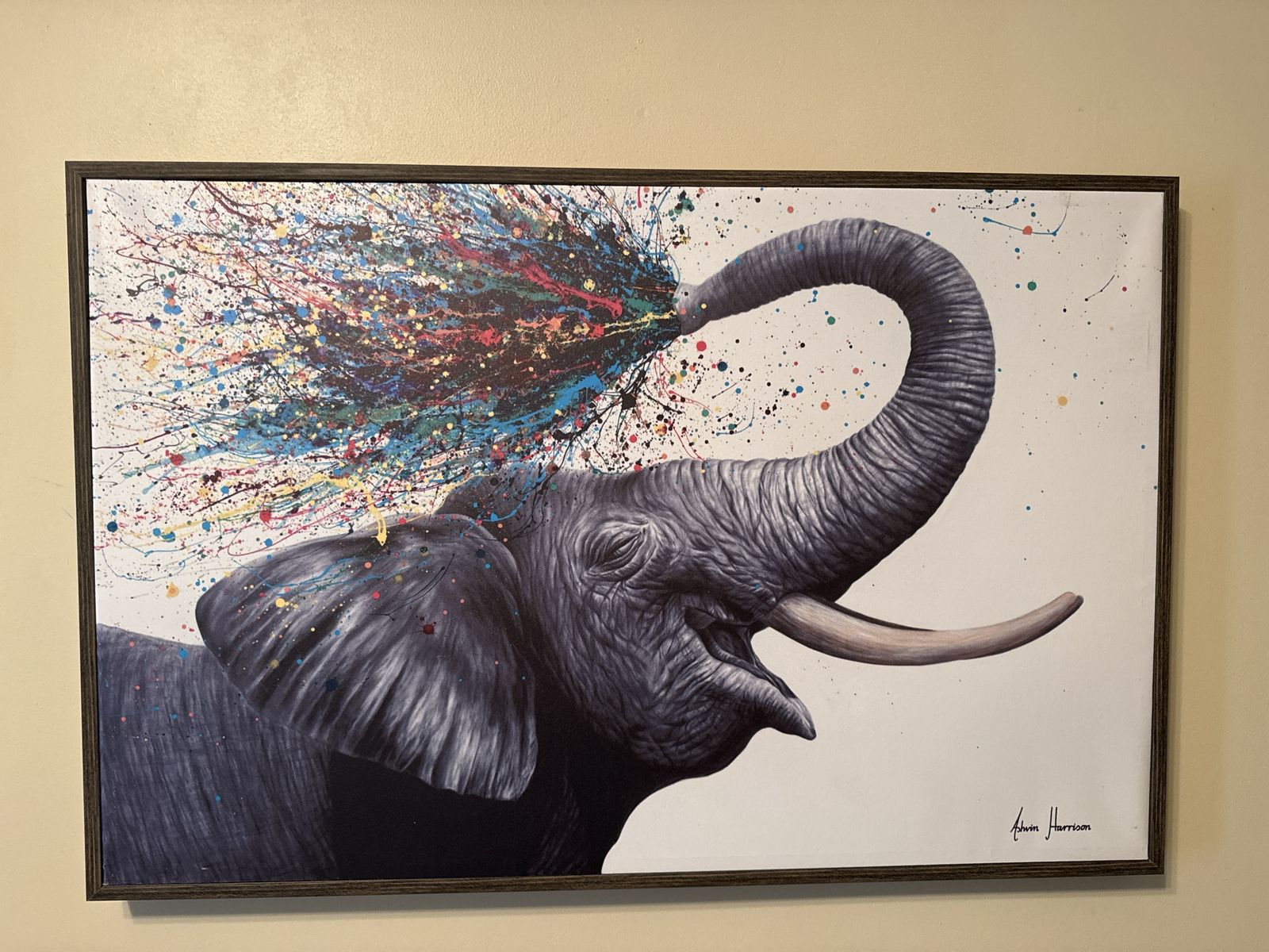Ashvin Harrison Elephant Splatter Art Framed Canvas Print Wall Decor
