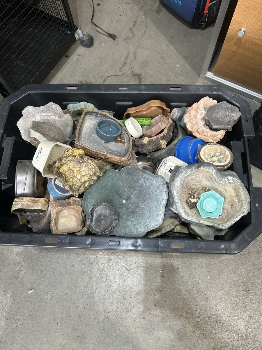 Bowls