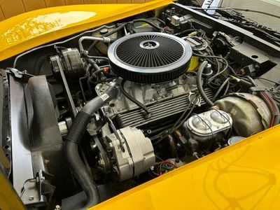 1981 Chevrolet Corvette Base