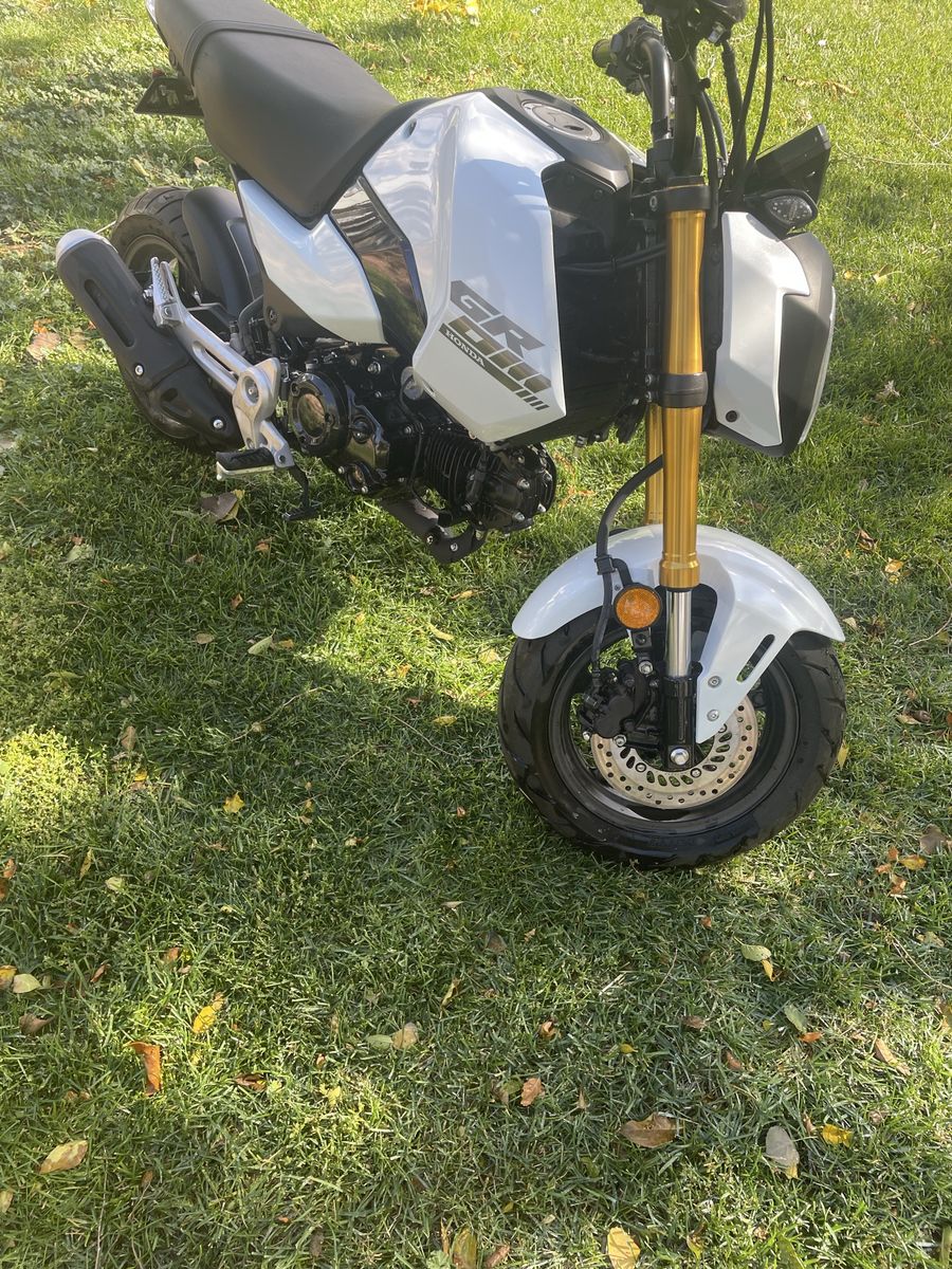 2025 Honda grom