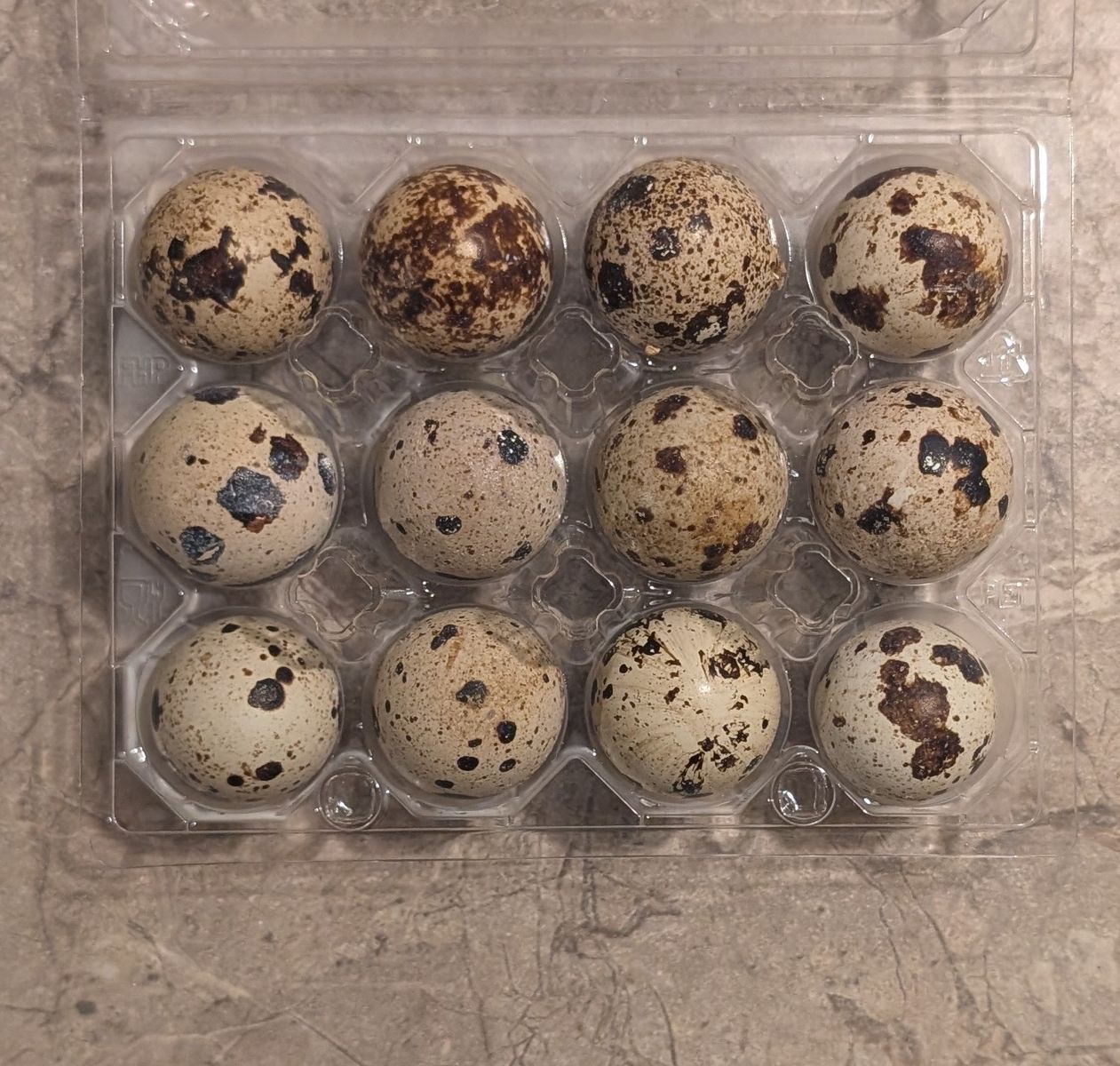 Quail eggs