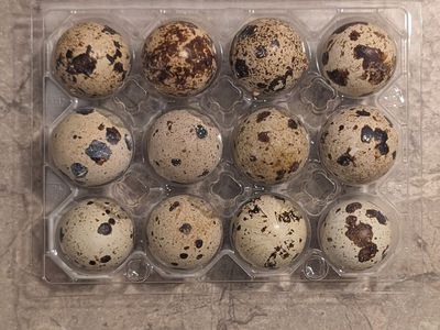 Quail eggs