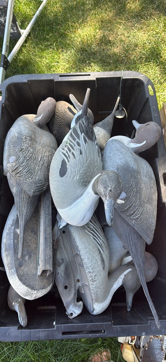 Duck hunting decoys