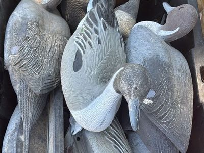 Duck hunting decoys