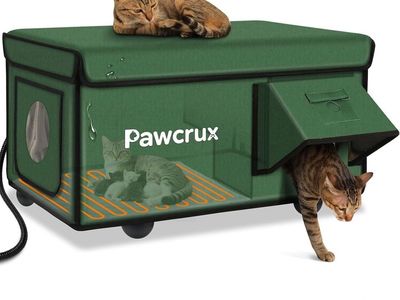 Heated Outdoor Cat House with Pad