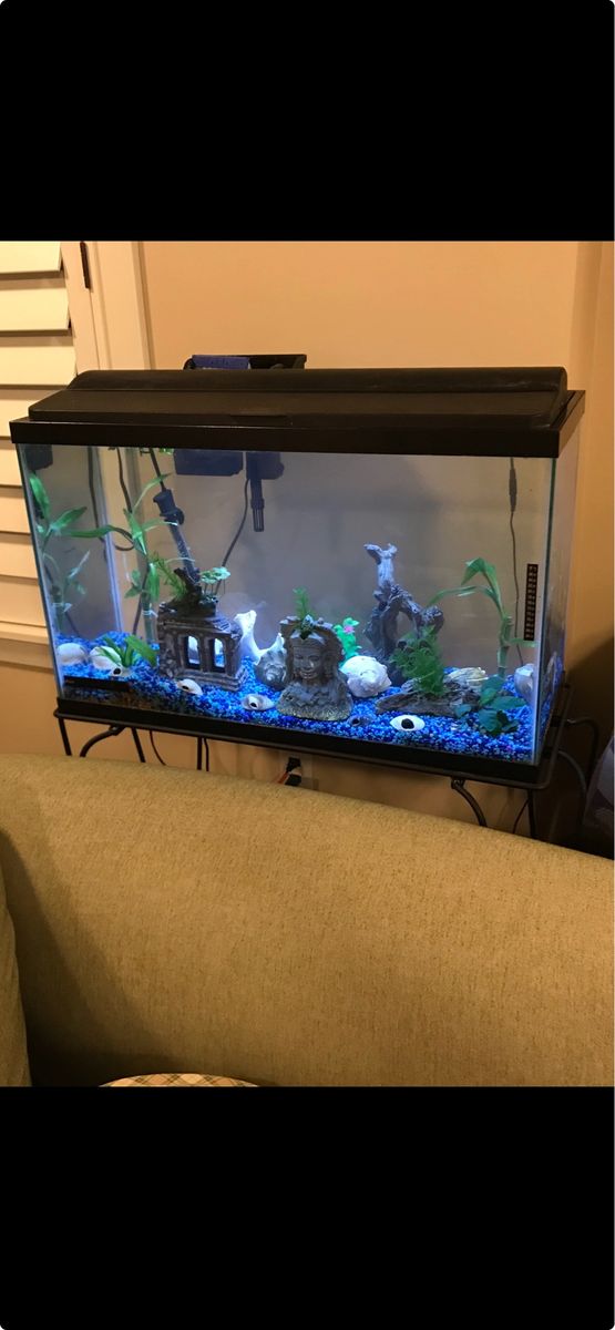30 gallon tank