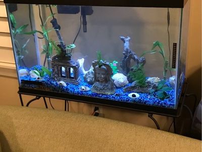 30 gallon tank