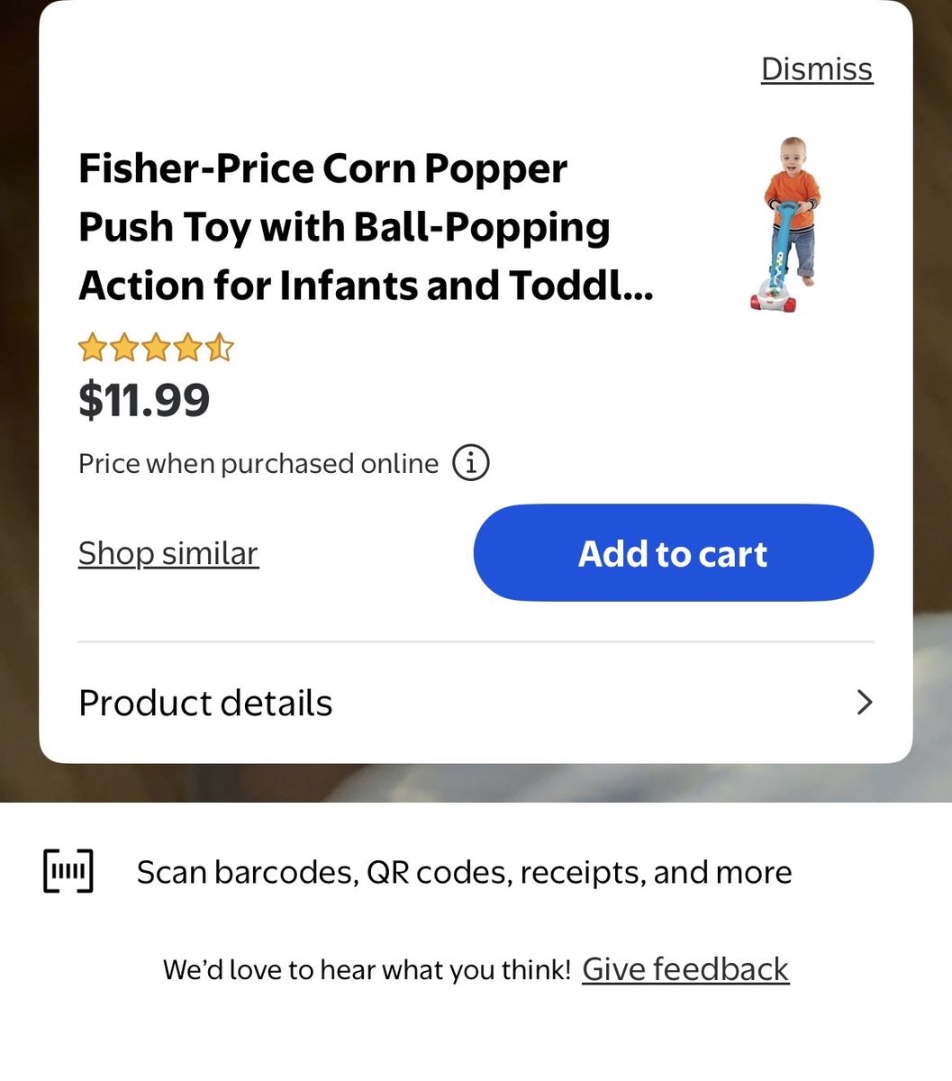 Fisher Price Walking Toy