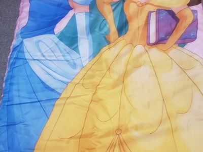 Disney Pricess Sleeping Bag