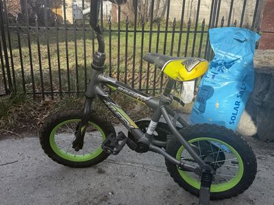 12 Inch Bike With Training Wheels