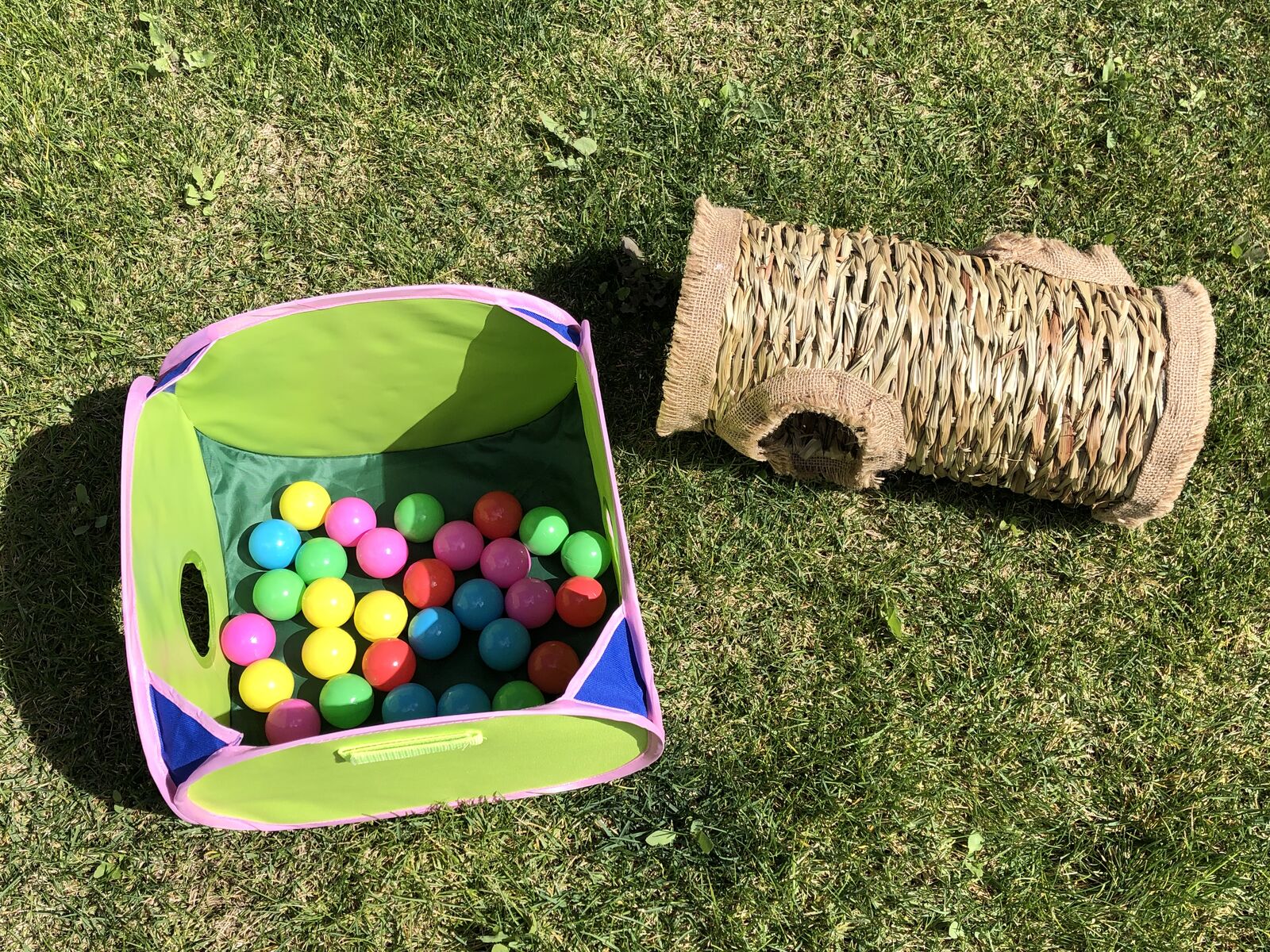 PRICE REDUCED! Collapsible Ball Pit & Grass Tunnel