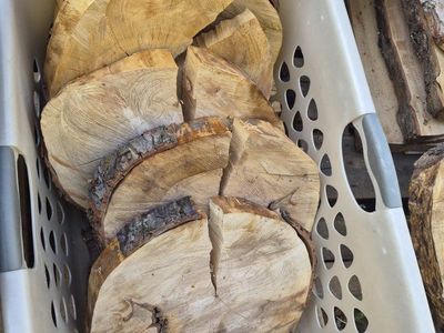 Silver Maple Rounds $15 each cash 14x13 uneven cut and has cracks
