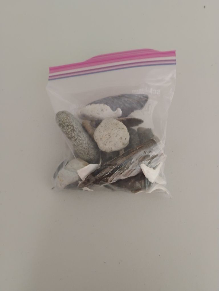 Bag of Assorted Pebbles and Shells - from the Oregon Coast