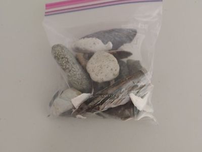Bag of Assorted Pebbles and Shells - from the Oregon Coast
