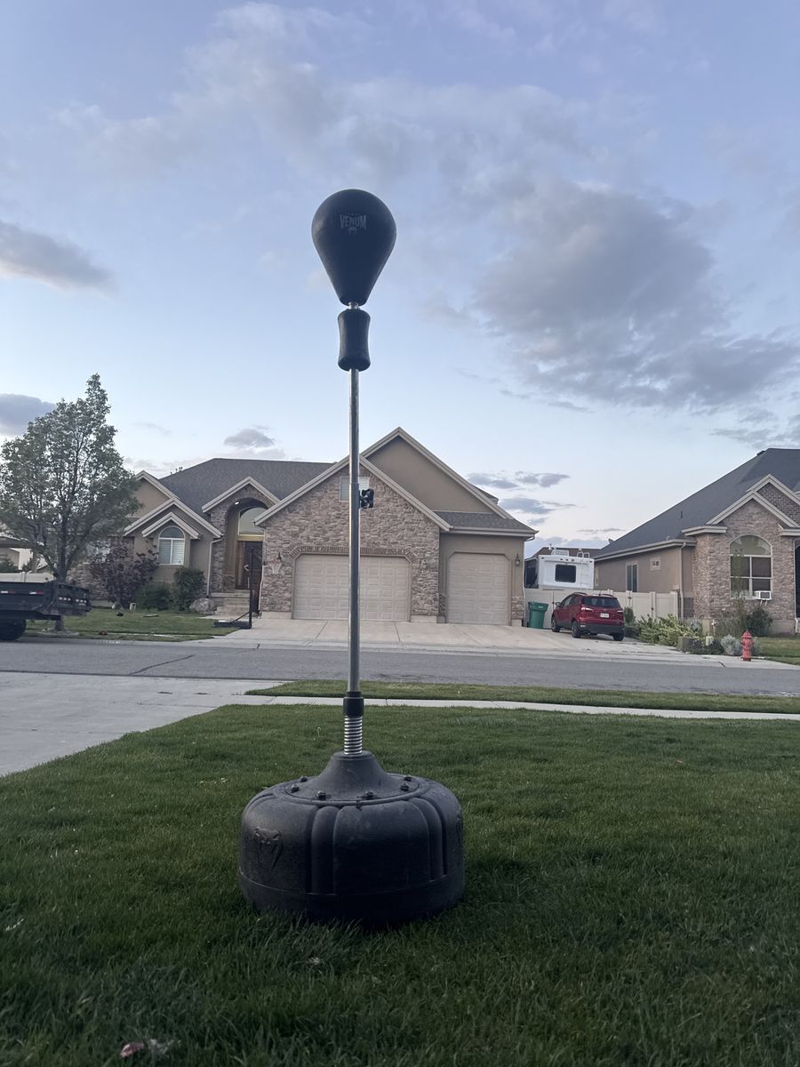 Venum punching bag