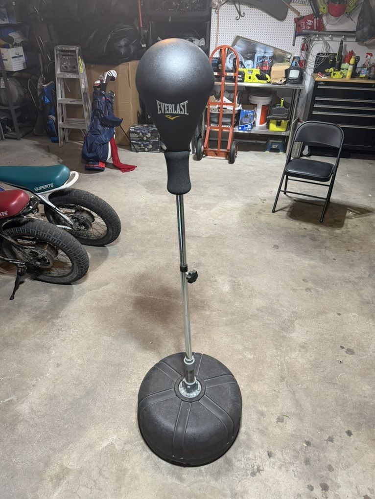 Everlast Punching bag