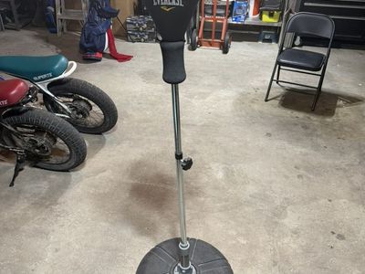 Everlast Punching bag