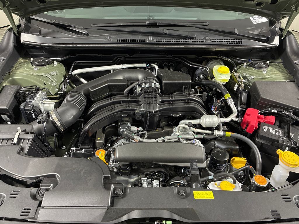 Main image 11