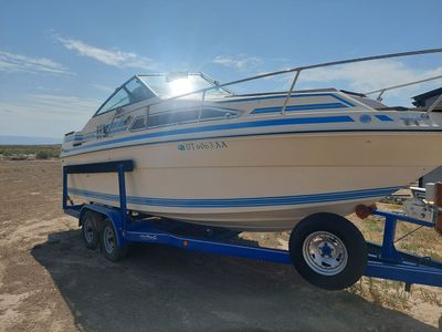 Classic Sea Ray SR 225