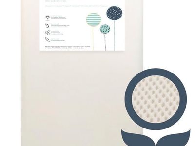 Naturepedic - mini crib mattress