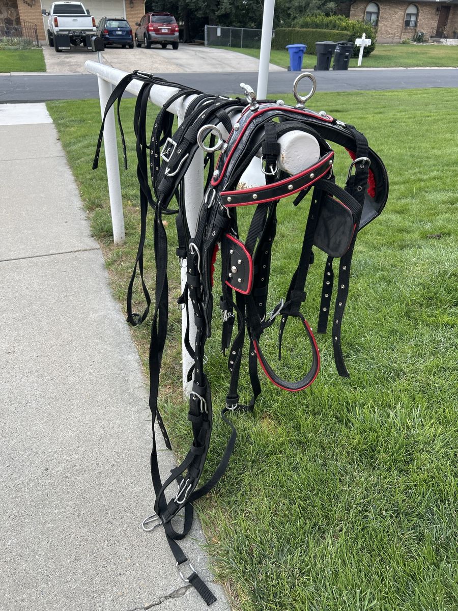 New driving harness