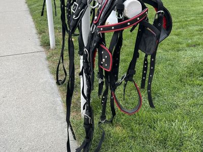 New driving harness