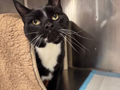 Hello my name is Duney