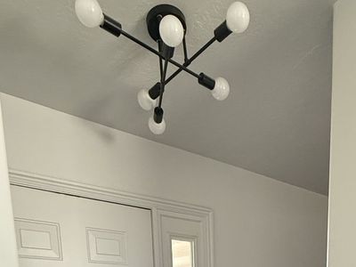 Modern Black Ceiling Light Fixture with 6 Bulbs