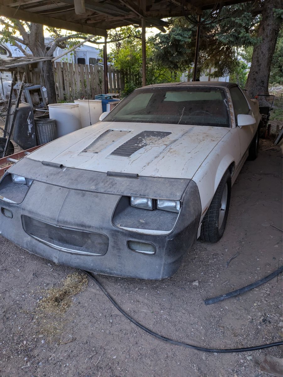 ISO(looking) 3rd Gen Camaro Part