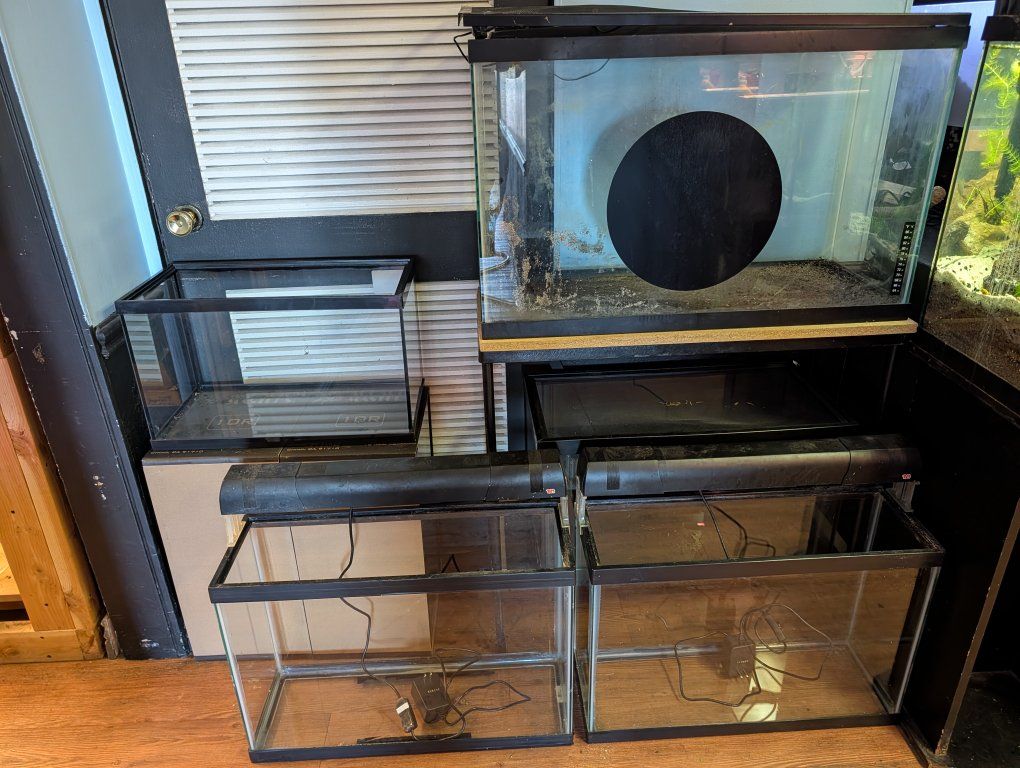Used Tanks