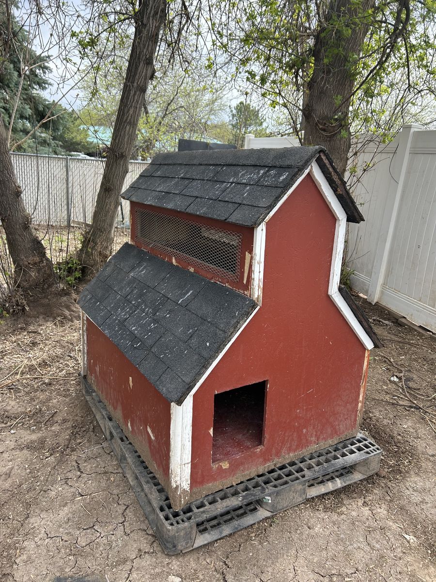 Chick coop barn