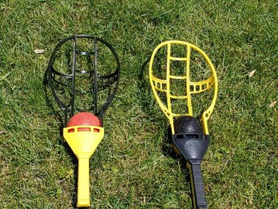 trac-ball classic yard game