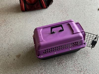Pet Carrier Kennel