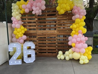 Pallet backdrop