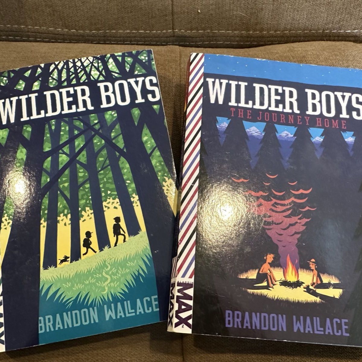 Wilder boys books