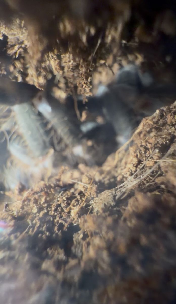 Main image 3