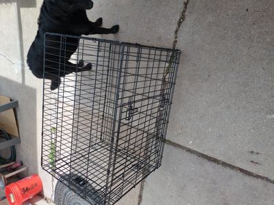 dog kennel