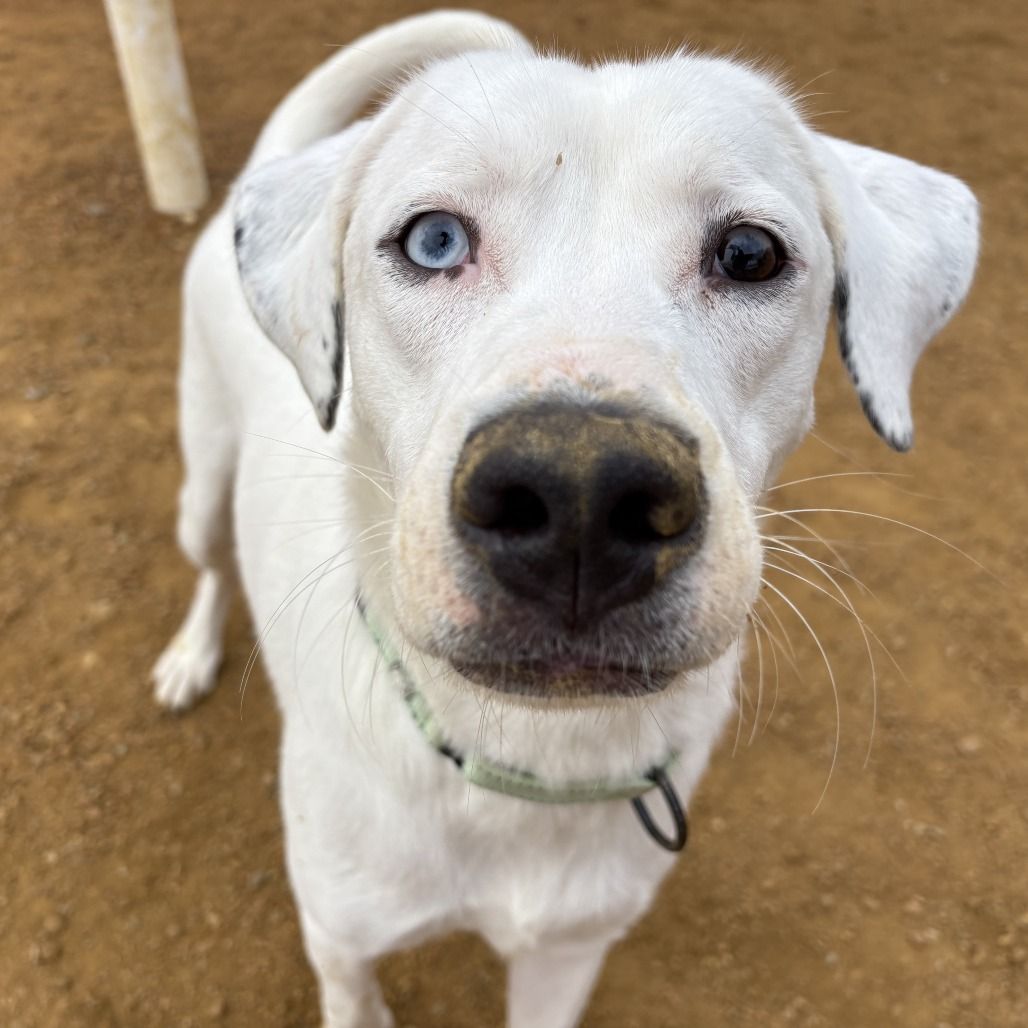 Hello my name is McGee