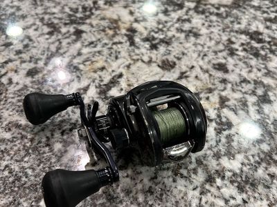 Abu Garcia Revo Beast