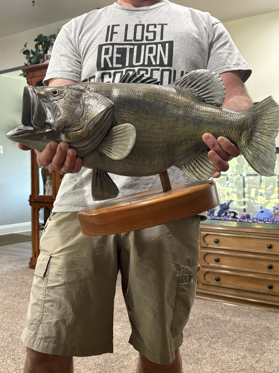 Taxidermy largemouth bass 10 pounds $200, !!