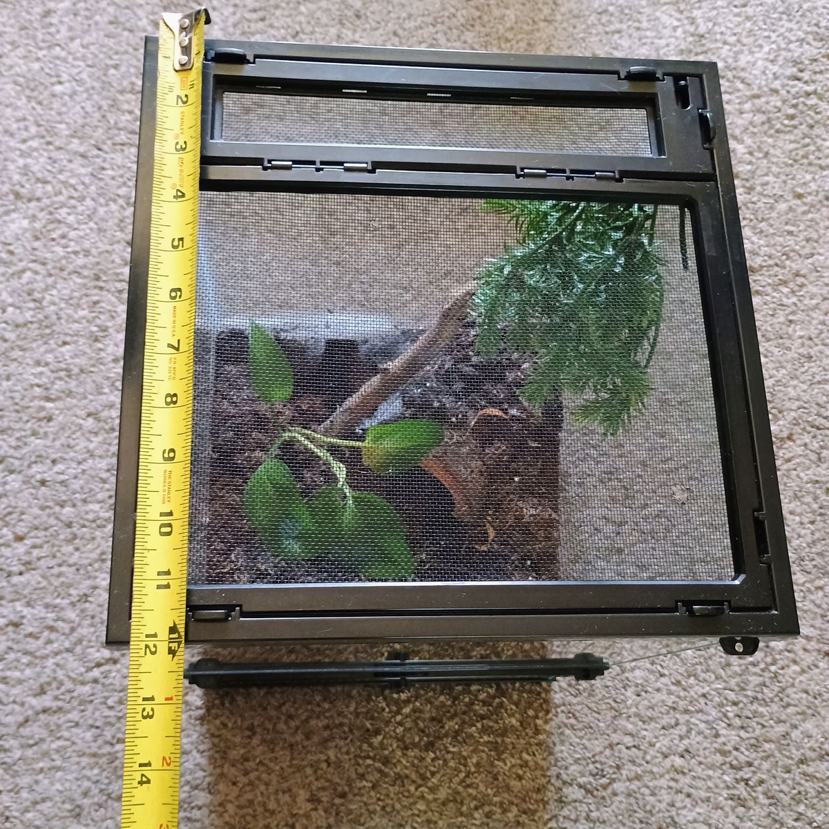 Main image 7