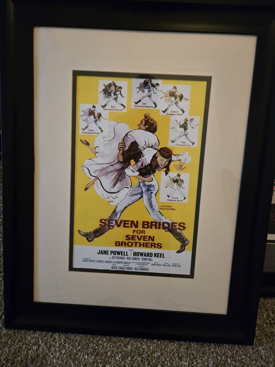Theater room posters and frames - $50 each or $500 for all