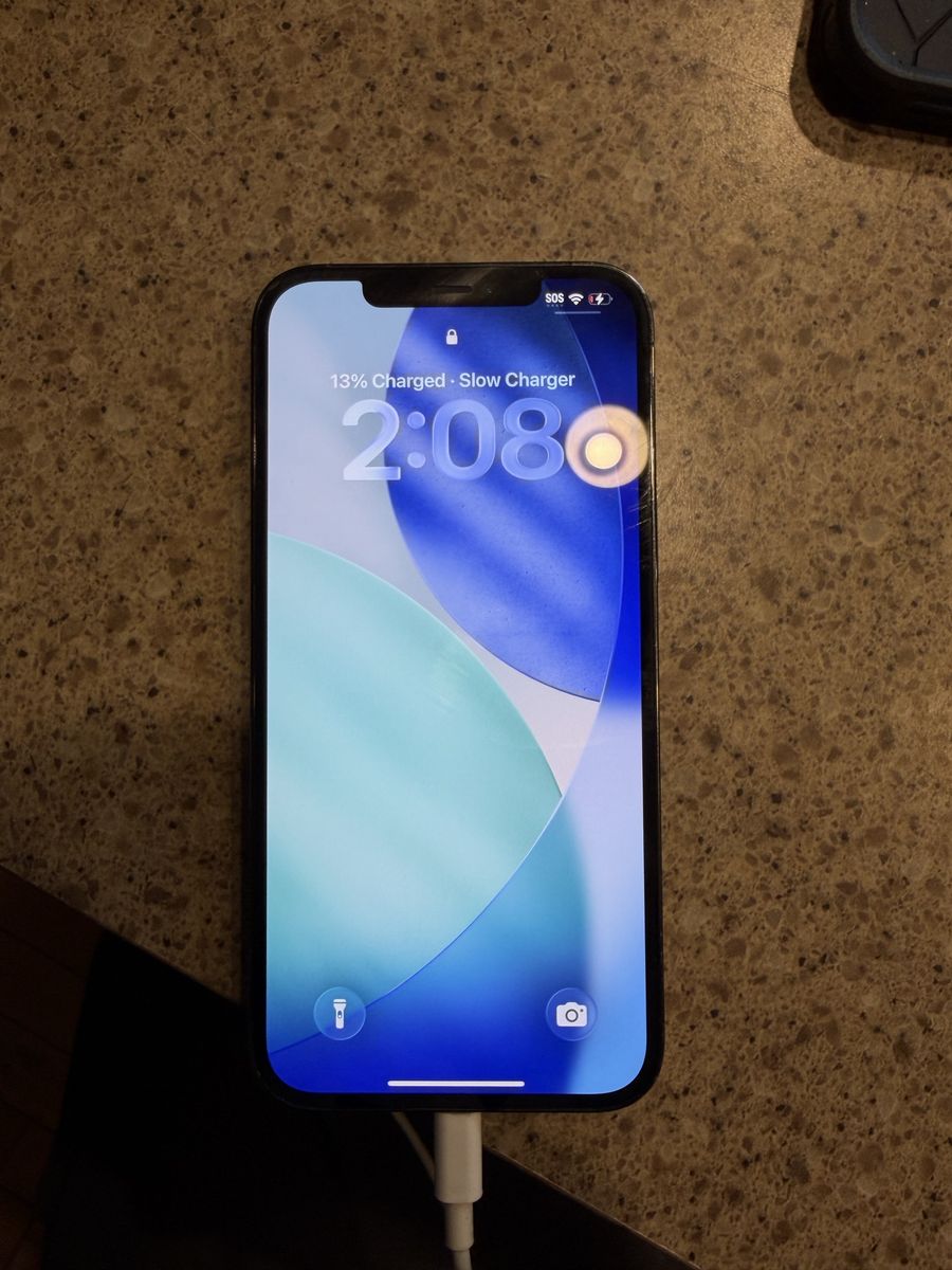 iPhone 12 Pro Max 