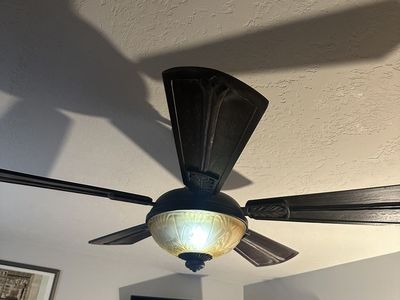 Ceiling Fan/Light