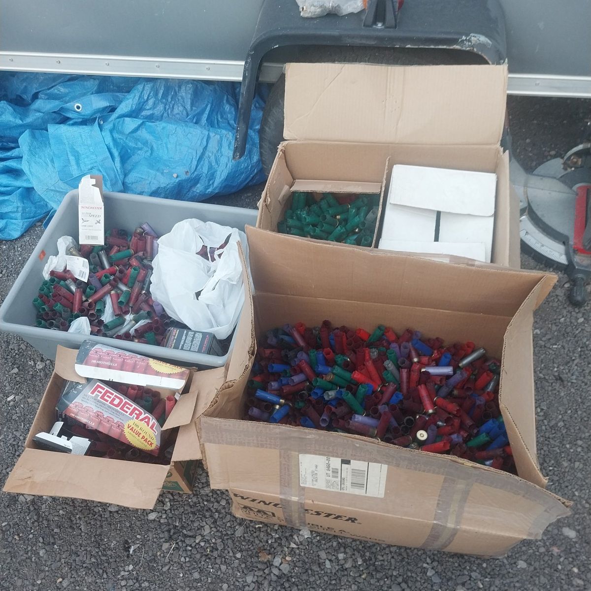 empty 12 gauge shotgun shells